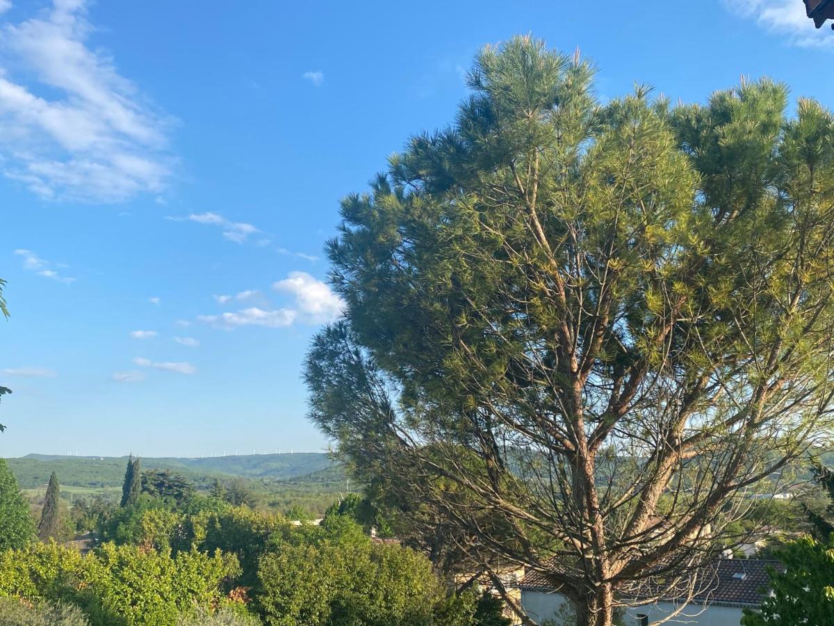 Bel Appartement Calme Dans Villa Provencale Montboucher-sur-Jabron Экстерьер фото